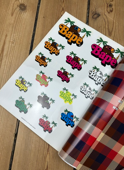 A Bathing Ape Magazine 2008 Autumn Collection
